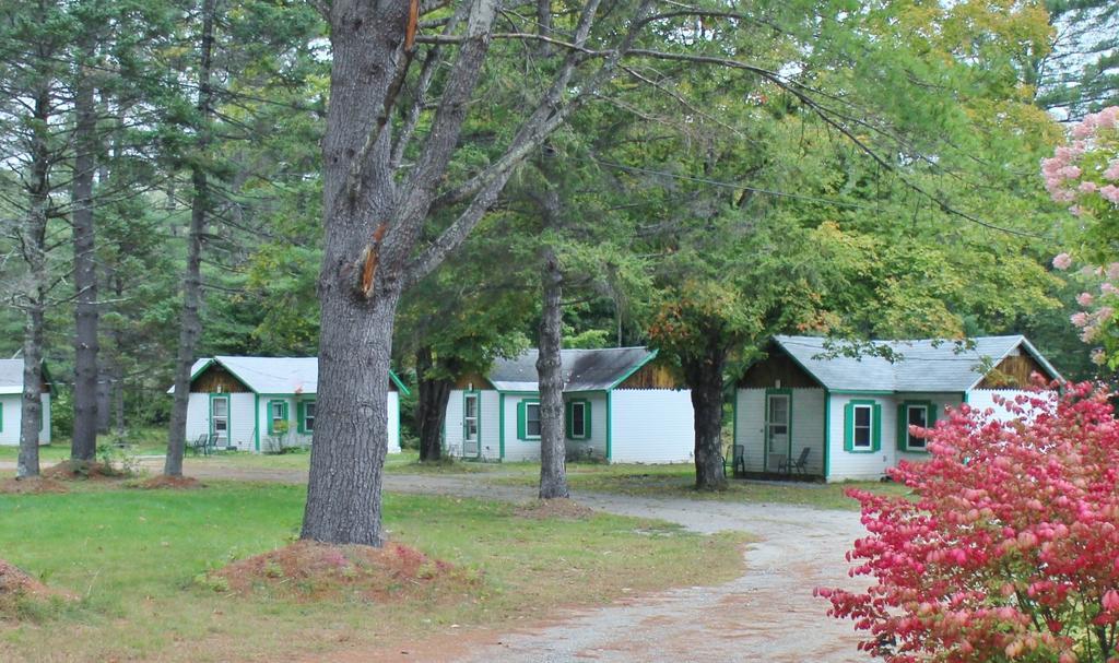 Pine Valley Cabins Thornton Værelse billede