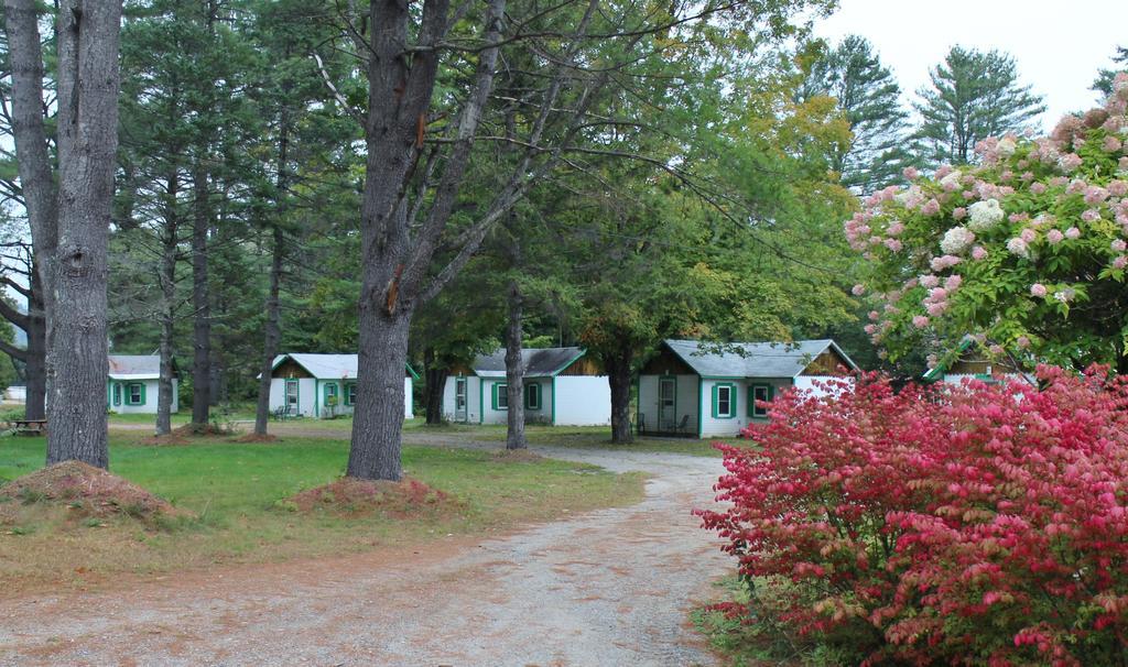 Pine Valley Cabins Thornton Eksteriør billede