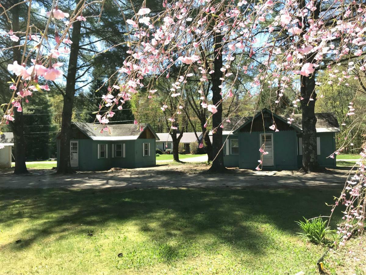 Pine Valley Cabins Thornton Eksteriør billede